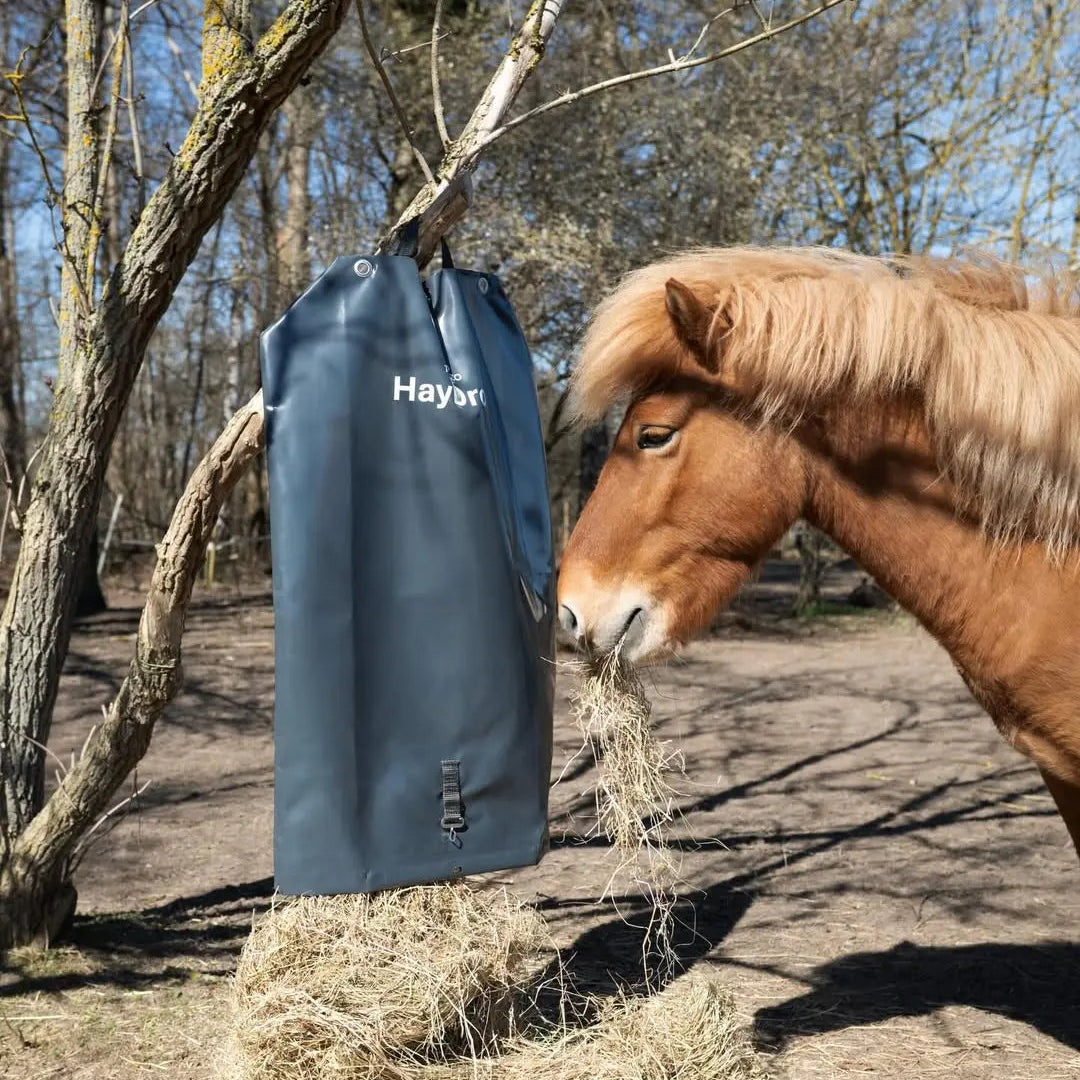 HAY ぴょんぴょん HayDrop | Automatic Hay Feeder for horses | Tekzo – TEKZO